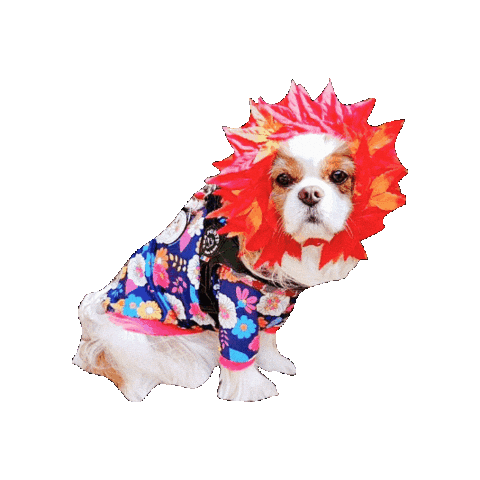 Doggy Sticker