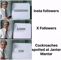 Trending Cockroach GIF