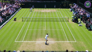 tennis fail GIF by Wimbledon