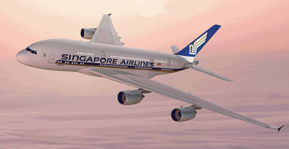 Singapore Travel GIFs Singapore Travel GIFs