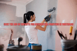 Kitchen Cabinet Painting In Waterloo GIF