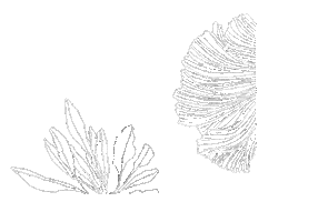 In The Loop Activewear Sticker by Loop Body