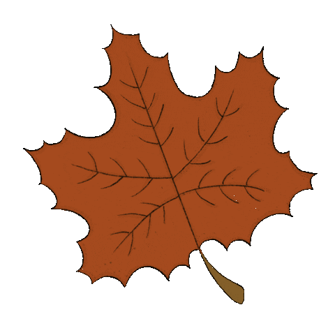 Canada Sticker