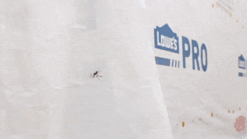 Spider Bryan Kelly GIF by JC Property Professionals