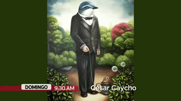 estebanmarchand  GIF