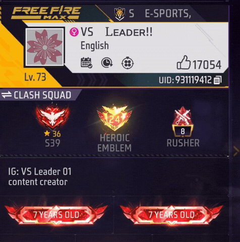 Vs Leader Ff GIF