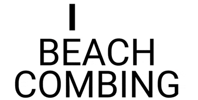 Finds Beachcombing GIF