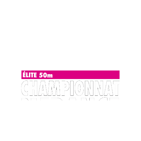 Pays d'Aix Natation Sticker