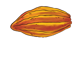 Animated Sticker