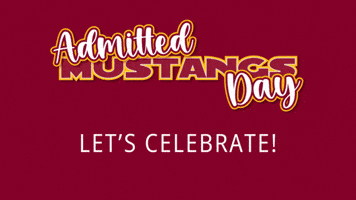 Msutexas GIF by Midwestern State University