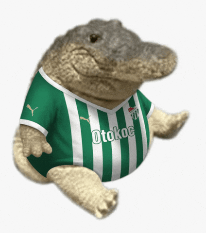 Bursa Timsah GIF