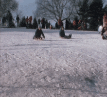 Snow Sledding GIF by US National Archives