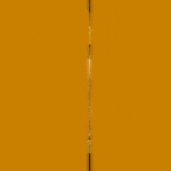 ABMAURI GIF