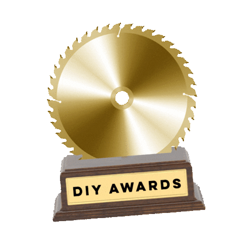 Diyawards Sticker by Liz Morrow