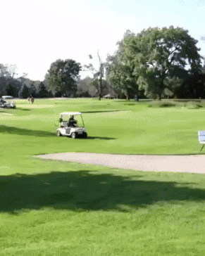 Golf GIFs - Get the best GIF on GIPHY