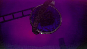 Brewstarz Originals GIF by Brewstarz