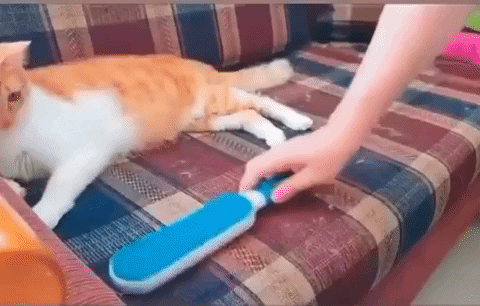 Cepillo Removedor Quita Pelo Mascota – Petyou