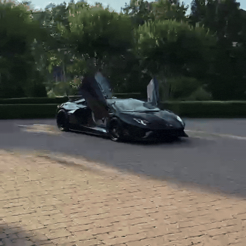 Bara Svj GIF