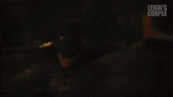 Penguin GIF