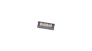 Teeth Optima Sticker by Toros Dental