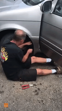 Tire Experts Rescue Kitten Hidden Behind Car Wheel