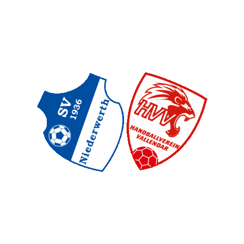 Handball Koblenz Sticker by HVV