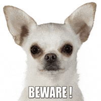 dog warning GIF