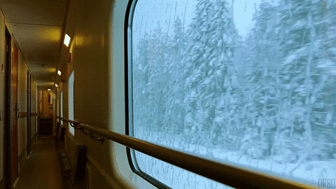 winter train GIF