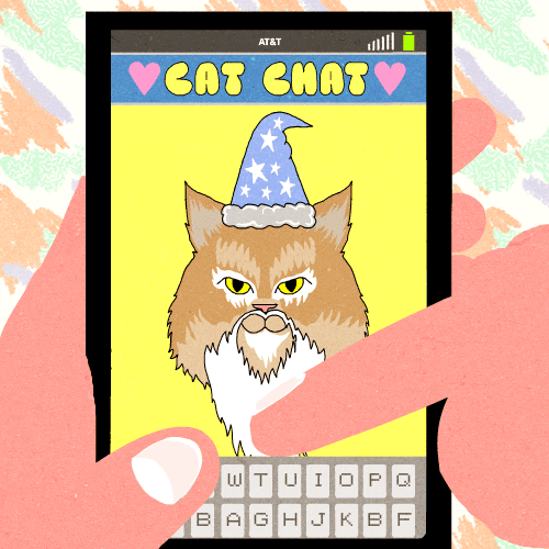 Cats Chat GIFs Find & Share on GIPHY