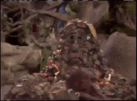 Fraggle Rock Dance GIF by Common Ground Compost