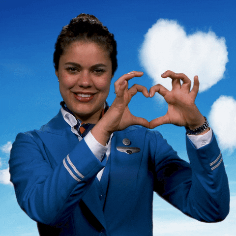 valentines day love GIF by KLM