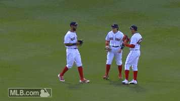 Red Sox Win GIF by MLB