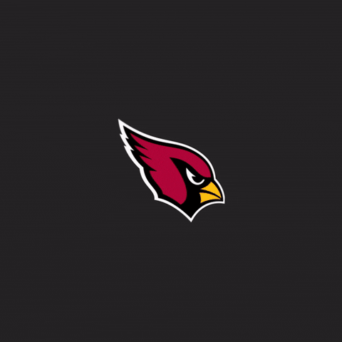 Red Sea Jones GIF by Arizona Cardinals