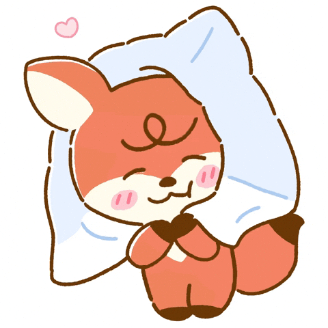 Fox Blanket GIF by Dreamiez
