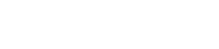 WIFI Salzburg Sticker