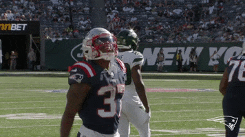 Come On Football GIF by New England Patriots