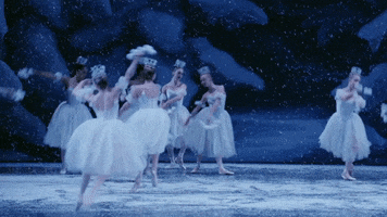 Snow Snowflakes GIF by New York City Ballet
