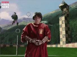 Harry Potter Win GIF by Piñata Farms: The Meme App