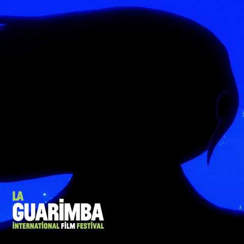 Tell Me What GIF by La Guarimba Film Festival