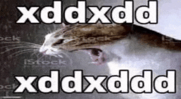 Xdd GIF