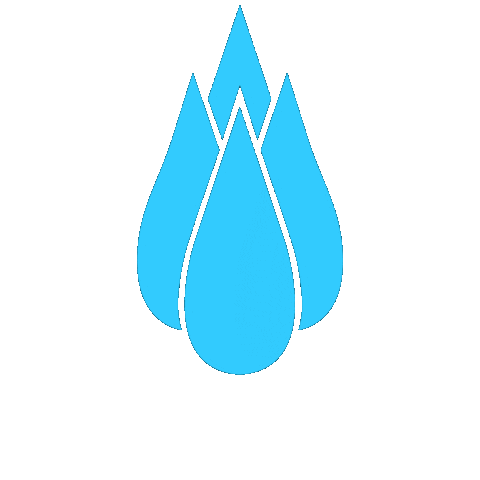 Rezenerate NanoFacial Sticker