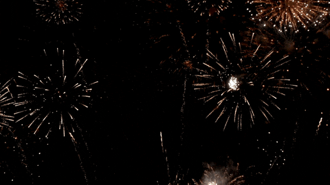 Happy New Year GIF by Vinnie Camilleri - Find & Share on GIPHY