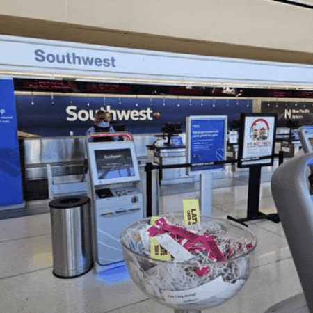 Travel GIF