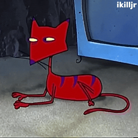 Cat Staring GIF