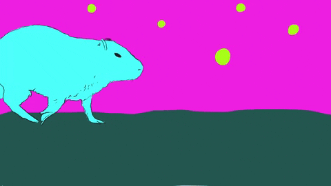 Kerstin Graudins GIFs on GIPHY - Be Animated