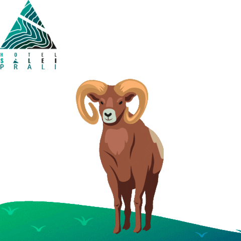 Hotel Salei Prali Sticker