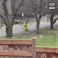 Canadian Snow GIF by NowThis