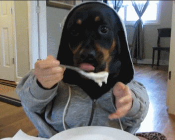 giphy.gif?cid=4d1e4f295f55cfceaa807dddd5bd9f5aef064e4b2abe3700&rid=giphy.gif