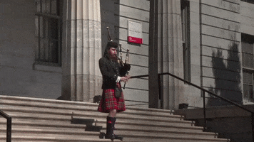 Convocation GIF by McGill University