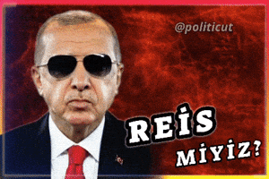 Reis Rte GIF